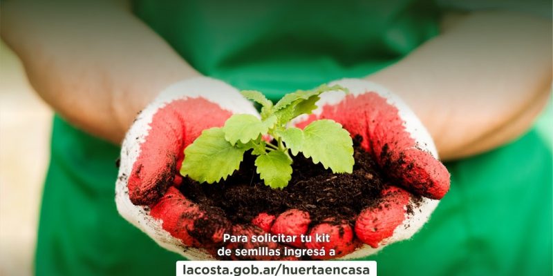 Se abre la 5ª edición del programa “Huerta en casa” con la entrega de kits de semillas para vecinos y vecinas