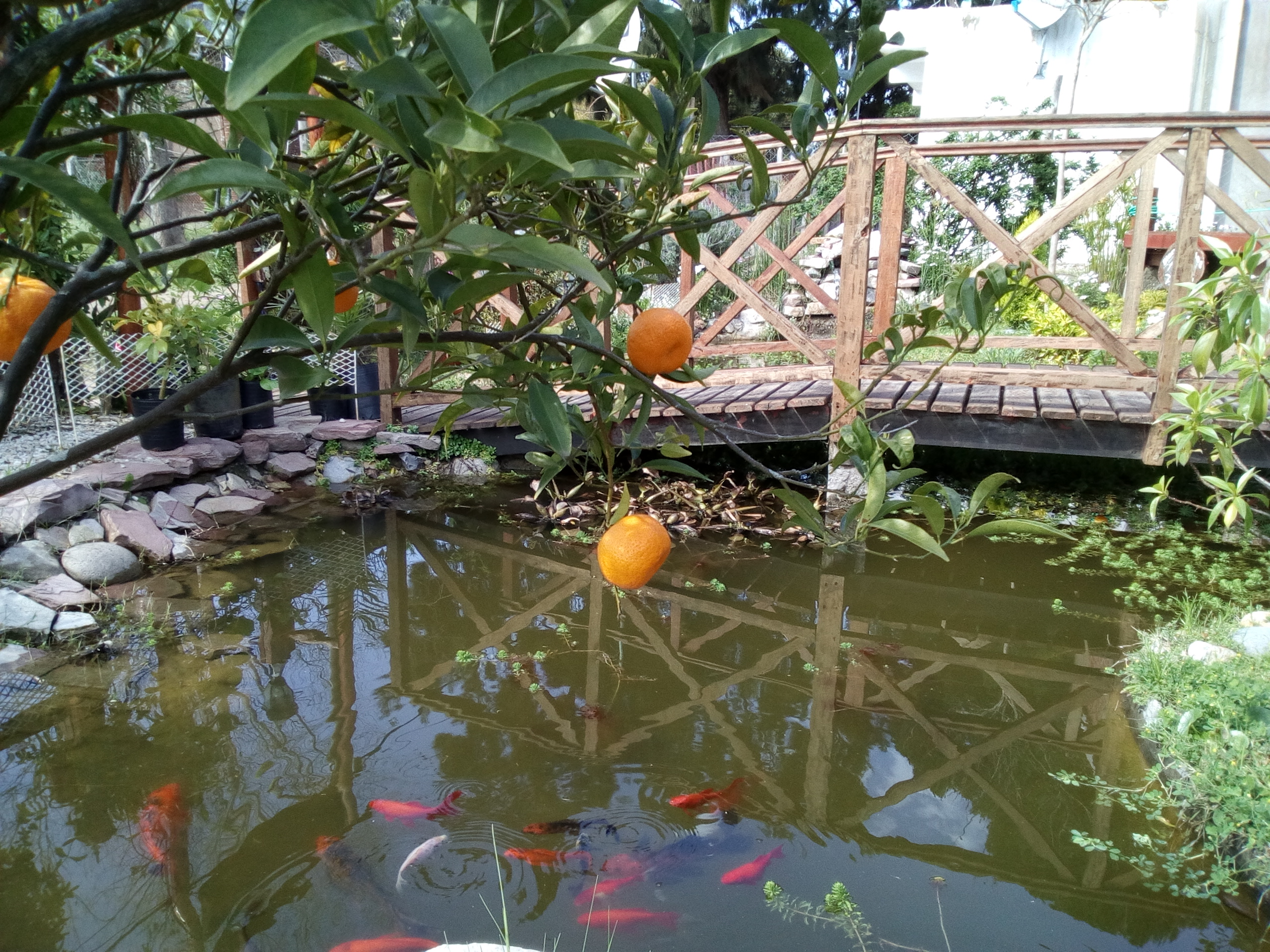 Foto del comercio